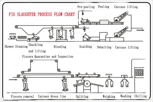 Pig-Slaughter-Line-Process-1