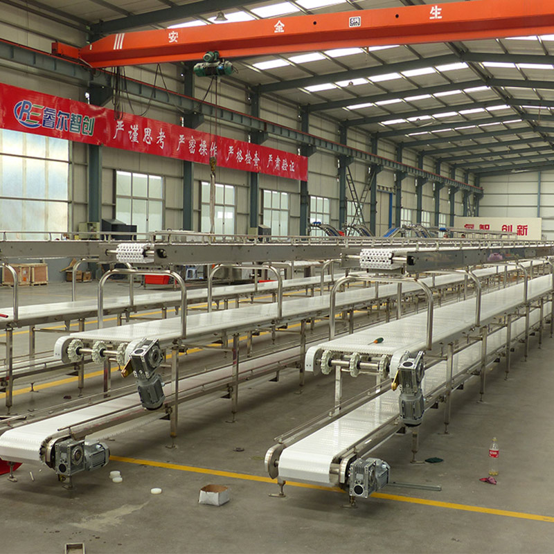 Slaughtering-and-cutting-conveyor-line-3